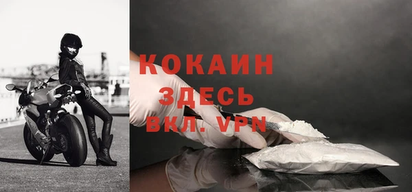 дурь Горняк