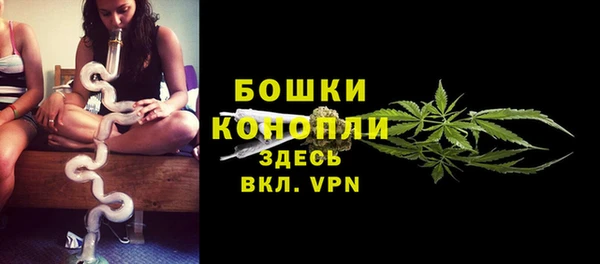 дурь Горняк