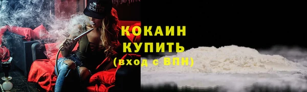 mdpv Вяземский