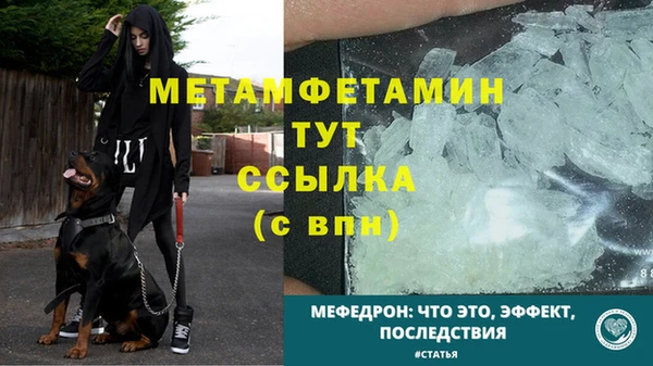 mdpv Вяземский