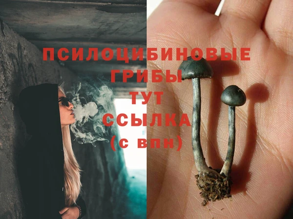 винт Вязьма