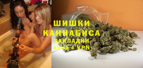 mdpv Вяземский