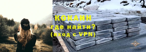 mdpv Вяземский