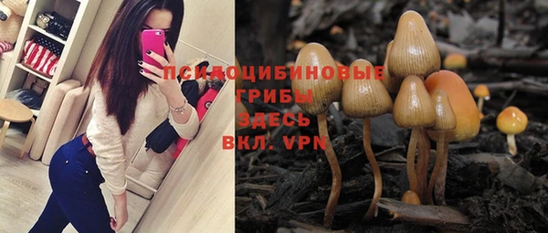 дурь Горняк