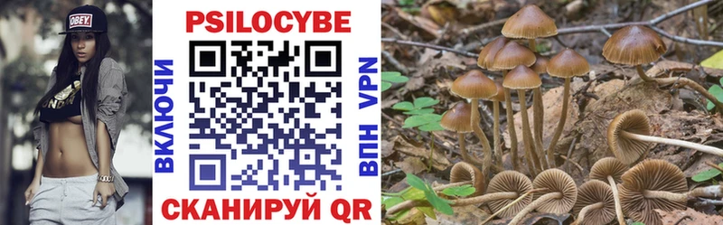 Псилоцибиновые грибы Psilocybine cubensis  Евпатория 